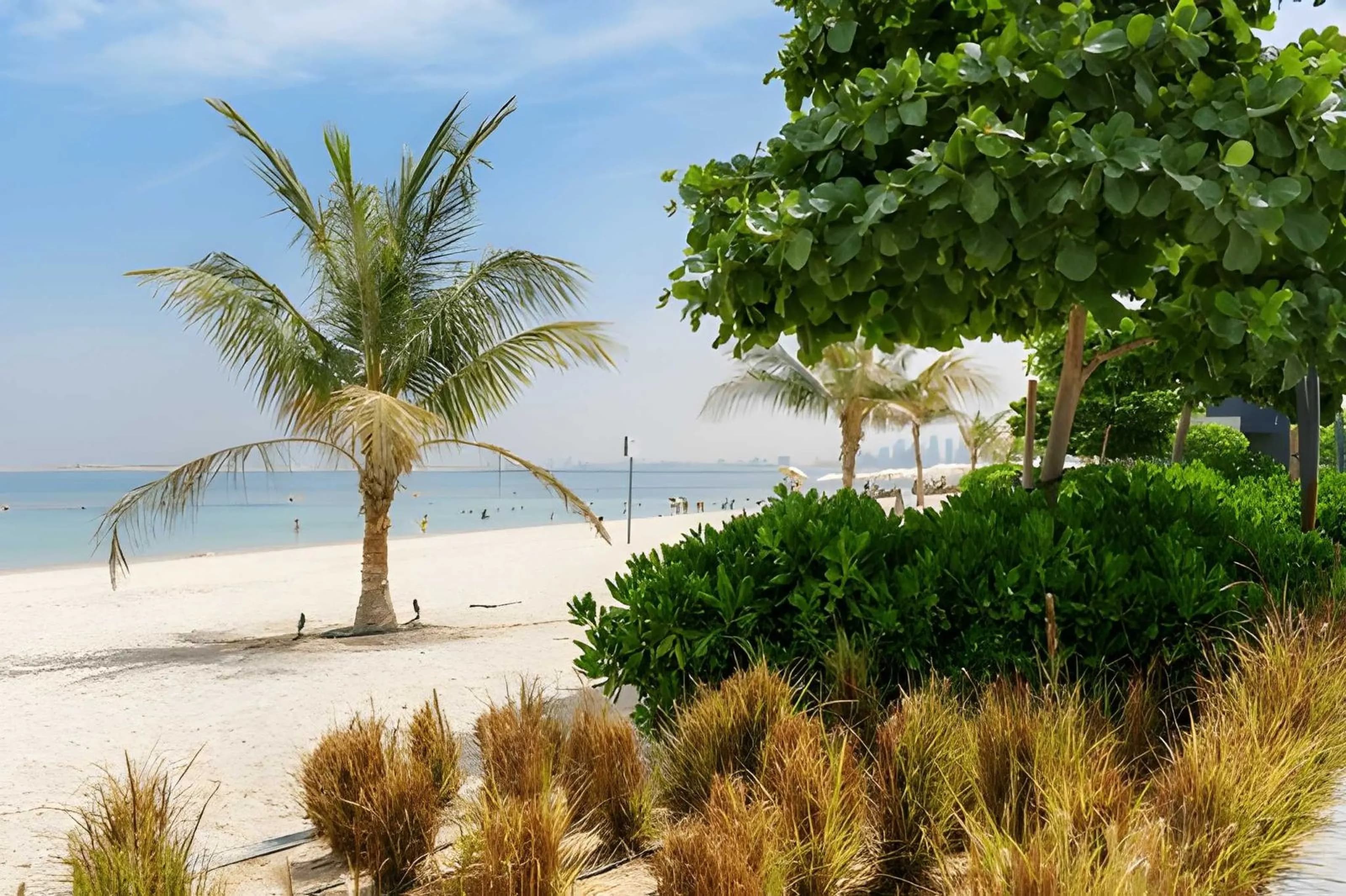A UAE public beach seen from above: turquoise shallows, open sand and a line of shade umbrellas