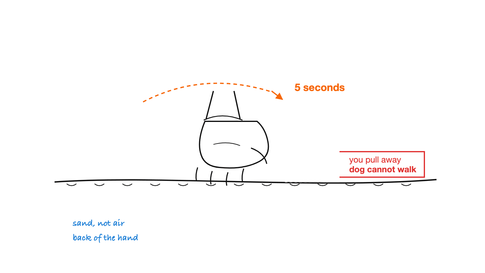 A hand pressed palm-down on beach sand, with an arc marked five seconds above it. If you pull away before five seconds, the sand is too hot for a dog to walk on.