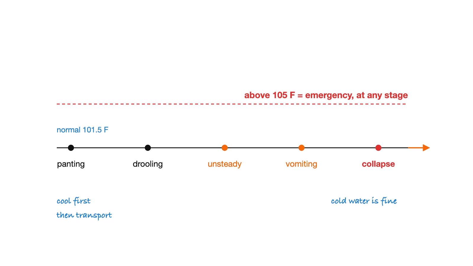 A line showing heat stroke signs in order: panting, drooling, unsteady, vomiting, collapse. A separate marker notes that above 105°F is an emergency at any stage.